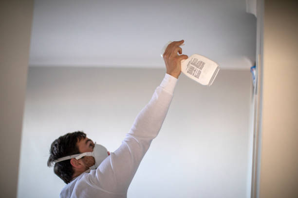 Best Certified Mold Removal  in Pottsgrove, PA