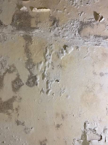 Water Damage Restoration in Pottsgrove, PA